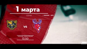 Матч КХЛ "Сочи" - "Торпедо": следите за игрой на телеканале "Нижний Новгород 24" и на радио "Маяк"