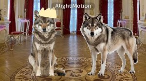 Идея не моя!!!