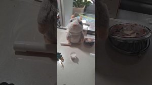 4 сезон 27 серия любовное похищение