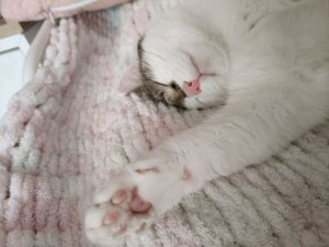 вопрос ответ