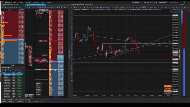 Video Project 30 Video Project 30