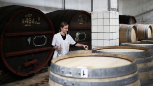 Российские виноделы впервые взяли главный приз на конкурсе «Терравино» в Израиле