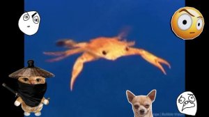 Попробуй не засмеяться Челлендж.mp4