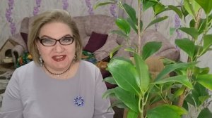 1 часть. Зато она не отекает как НЕКОТОРЫЕ❗️