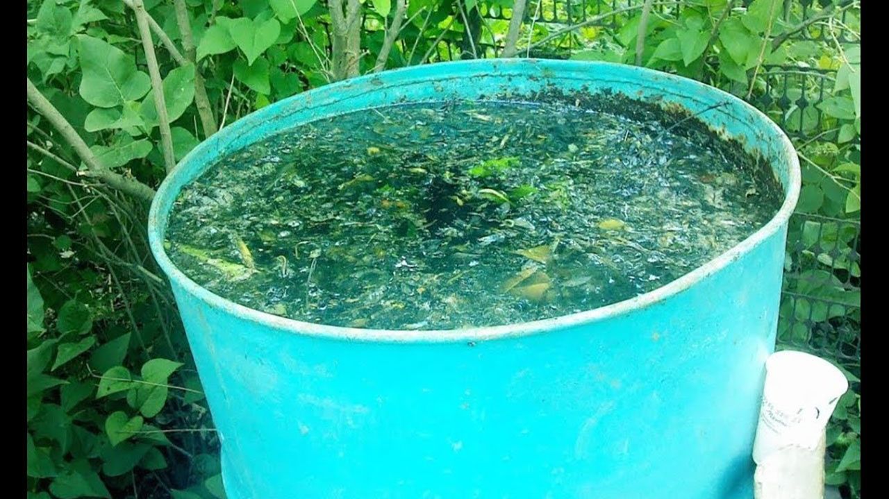 Как избавиться от сорняков и травы За 3 Секунды! смотреть онлайн