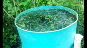 Как избавиться от сорняков и травы За 3 Секунды!