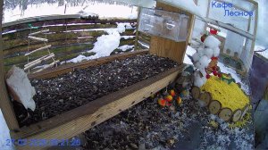 🔴 24 LIVE Главная Кормушка