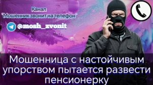 Мошенница с настойчивым упорством пытается развести пенсионерку