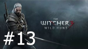 Ведьмак 3 Дикая Охота #13
