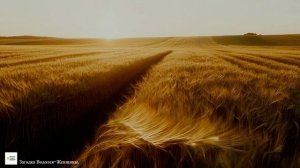 Загадка Водолея-Женщины.