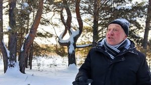 Б. Ахмадулина "Метель "