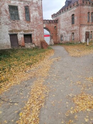 Сердце болело. Может не сердце, но страх есть.