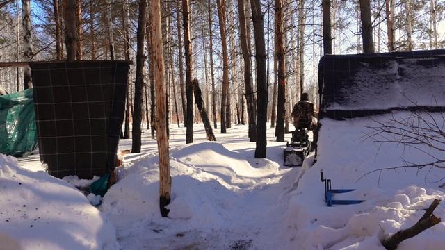 Охота на Титьки