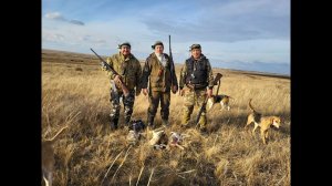 Охота на зайца в степи с гончими сезон 2025-2026 №224