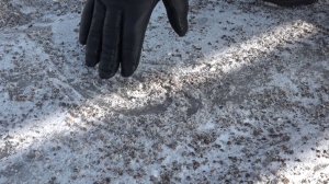 ВАНТОВЫЙ МОСТ ВО ЛЬДУ