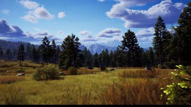 Расслабляющий звуковой ландшафт для глубокого сна Расслабляющий звуковой ландшафт для глубокого сна