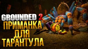 Grounded 2 ➤ ГДЕ НАЙТИ РЕЦЕПТ ПРИМАНКИ ДЛЯ ТАРАНТУЛА АКСЕЛЯ / КАК ПРИГОТОВИТЬ ПРИМАНКУ ДЛЯ АКСЕЛЯ