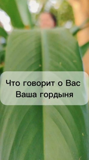 Что говорит о Вас Ваша гордыня