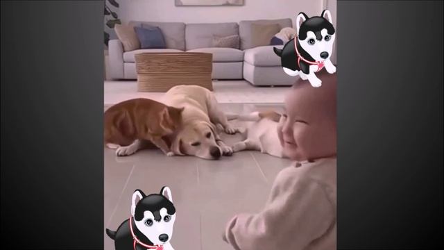 Дети и собаки А. Кот авторитет