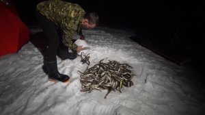 МОРСКОЙ БОЙ, НЕ УСПЕВАЛИ ВЫДИРАТЬ ЕЁ! ПОЛ ЧАСА ВЕДРО, КРУПНАЯ НАВАГА НА КРЕВЕТКУ \ НОЧНАЯ РЫБАЛКА!