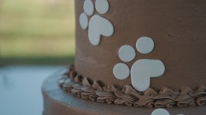 unpopular-174_1920x1080_24_yuv420p