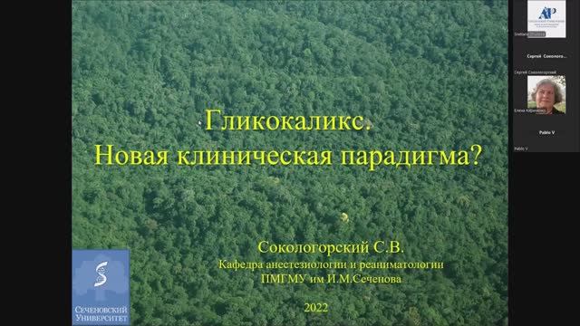 Гликокаликс - новая клиническая парадигма смотреть онлайн