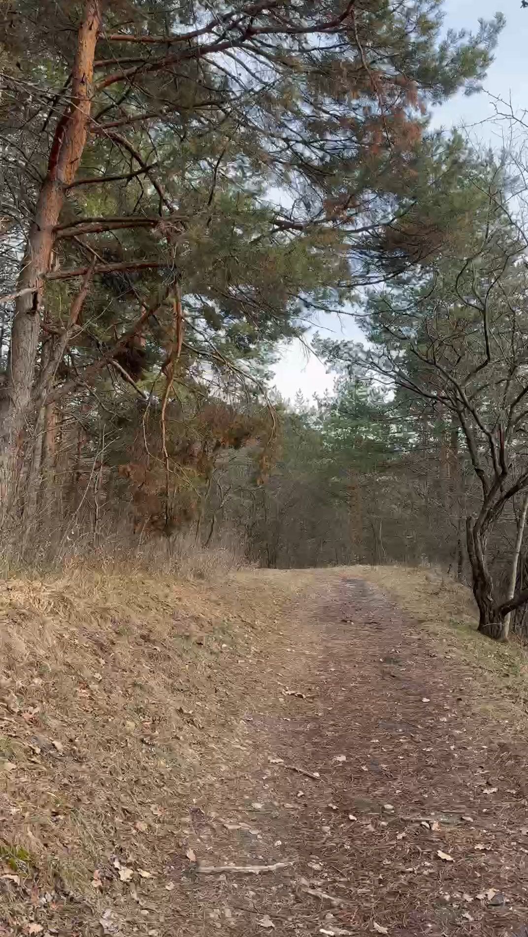 Кто то идёт на приём к врачам, а мы ходим на приём к природе в Кисловодский парк Кто то идёт на приём к врачам, а мы ходим на приём к природе в Кисловодский парк