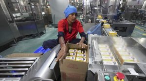 Каждая восьмая российская компания готова нанять работников из Индии и Африки