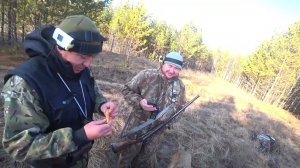 Охота на зайца в лесу с молодыми гончими, такого гона некто не ожидал. Сезон 2025-2026 №232