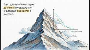 Биология 5 класс параграф 17 НАЗЕМНО-ВОЗДУШНАЯ СРЕДА ОБИТАНИЯ краткий пересказ