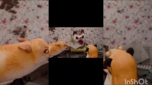 сборник блоп топ мульт но с моей озвучкой попробуй не засмеяться