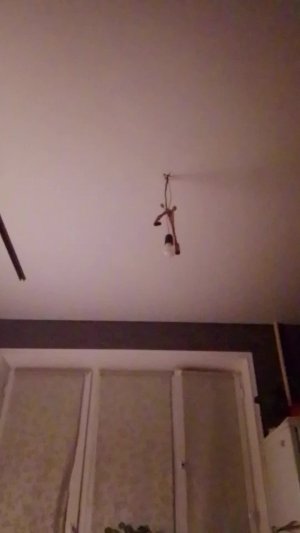 АЛЛАГЬ Велик ❤️