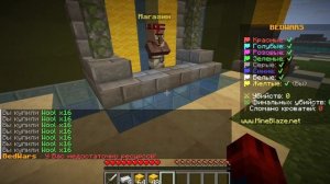 Играю в Майнкрафт на сервере.