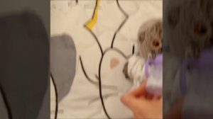 Вечерний влог🎀