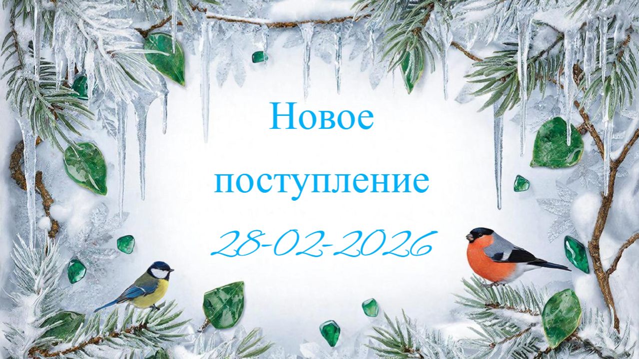 Новое поступление 28-02-2026