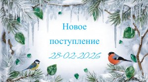 Новое поступление 28-02-2026