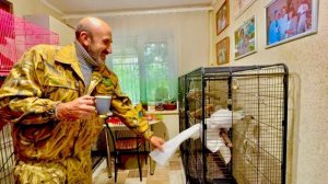 Я пытаюсь РАСШЕВЕЛИТЬ попугая Жору и вернуть его к активной жизни)))