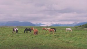 СПОКОЙНЫЕ МЕЛОДИИ ДЛЯ ОТДЫХА