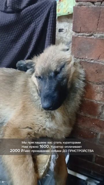 ВСЕМ БЫ ТАК СЛАДКО СПАТЬ