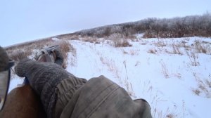 Охота на зайца. Сезон 2024-2025 № 221