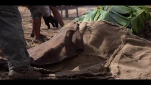 unpopular-119_1920x1080_30_yuv420p