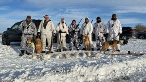 Коллективная охота на зайца, 7 февраля. Сезон 2025-2026 №260.