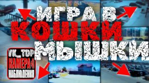 ⚡️Девушка узнает, что её дедушка - Разыскиваемый Убийца
