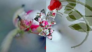 Волшебная Зимняя розовая сказка 5 от Киностудии Мудрого Кота Тимофея!