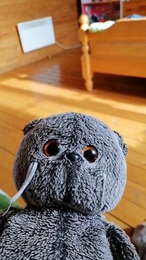 где Вискас был