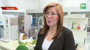 3,5 миллиона цветов под проверкой: что может скрываться в букете к 8 Марта?