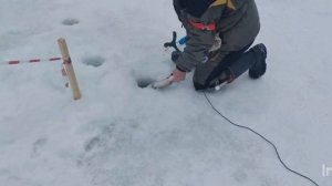 Спортзона.Поимки