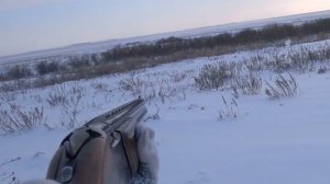 Охота на зайца, штурмуем Тобол. Сезон 2025-2026 №253.