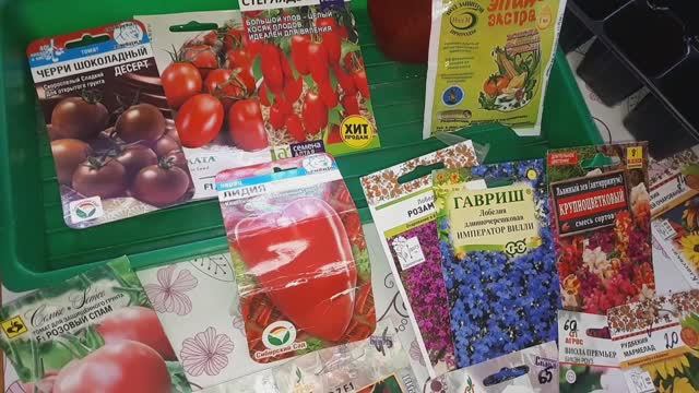 2268.  Второй посев пасленовых и цветов.27.02.2026.