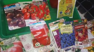 2268.  Второй посев пасленовых и цветов.27.02.2026.